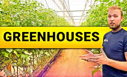 Considering a Greenhouse? Watch This!