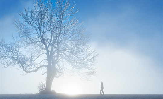 What Does the Bible Say About Truth?