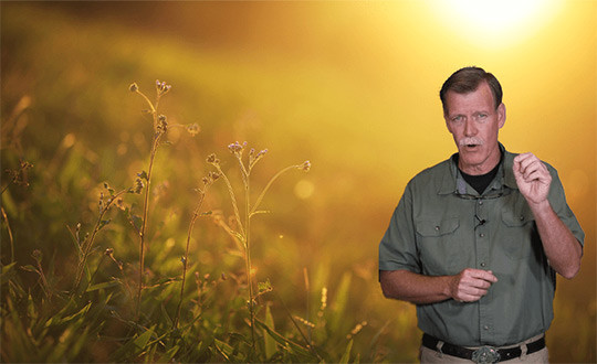 Benefits of Sunlight